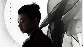 摆渡mv国产动画在线观看,国产动画的视听盛宴，在线观看带你领略奇幻之旅