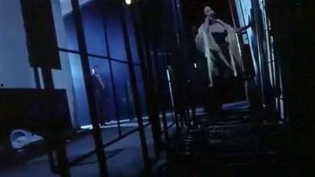 国产酒吧捡死尸视频在线,捡死尸视频引发社会热议