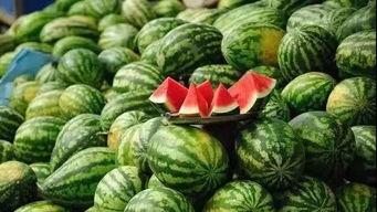 西瓜国产资源在线播放