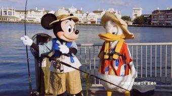 唐老鸭影视国产在线观看,国产动画盛宴，在线观看新体验